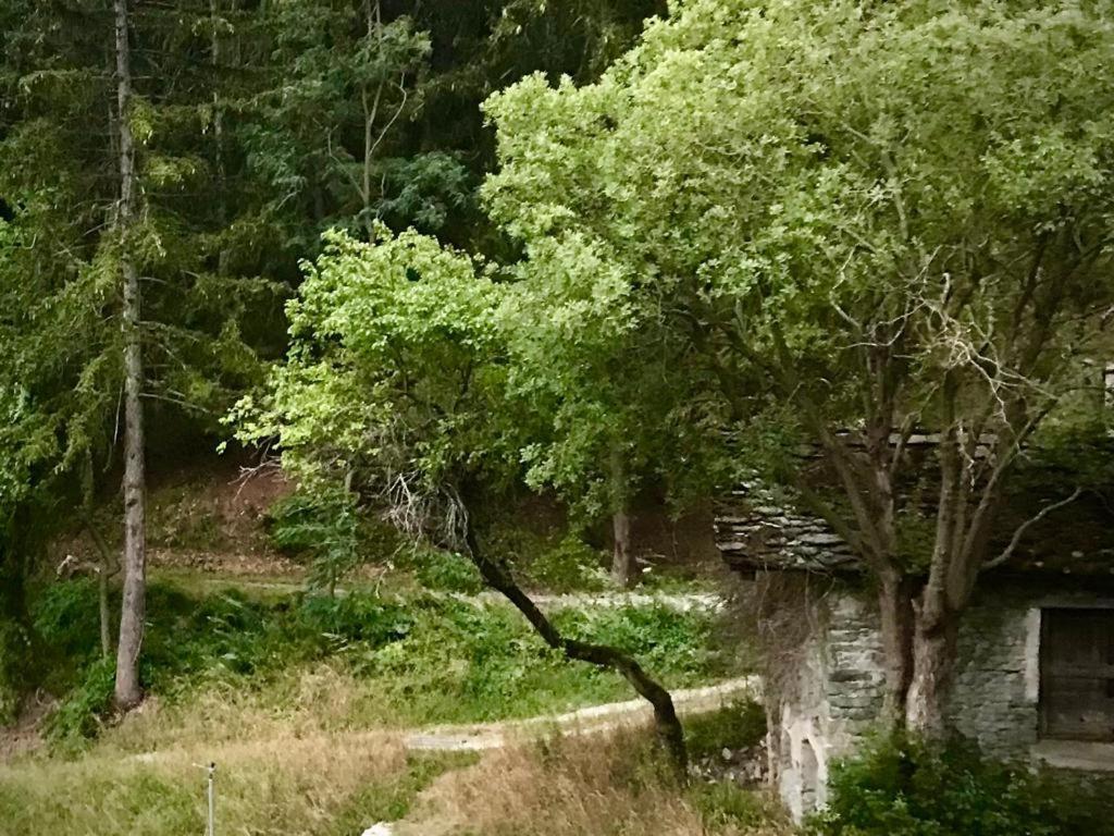 Appartamento La Tour Gignod Esterno foto